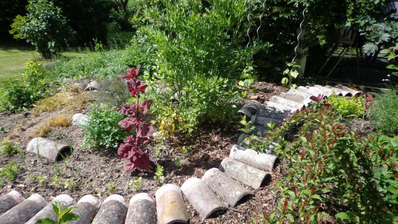 Hotel Elfenhof Wilder Garten