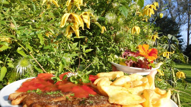 Veganes Schnitzel mit Kartoffeln und Tomatensauce