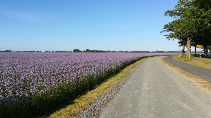 Natur & Radwege in Viezen