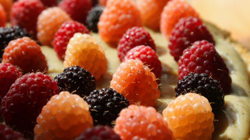 Waldbeeren-Kuchen